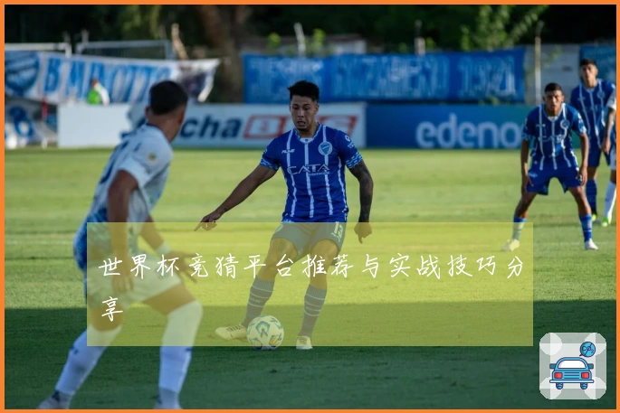 世界杯竞猜平台推荐与实战技巧分享