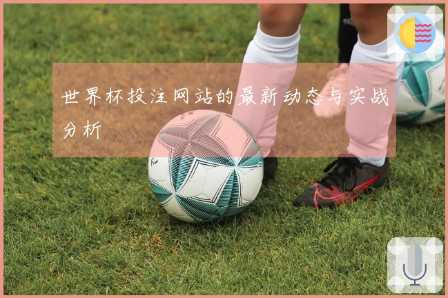 世界杯投注网站的最新动态与实战分析