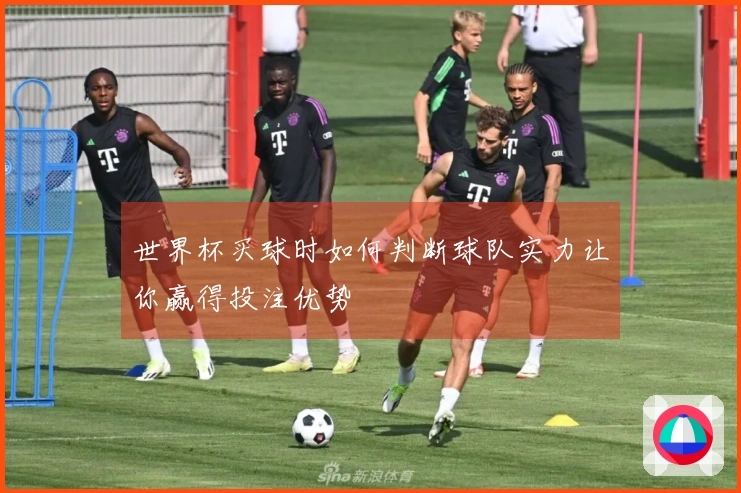 世界杯买球时如何判断球队实力让你赢得投注优势