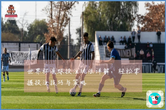 世界杯滚球投注玩法详解，轻松掌握投注技巧与策略