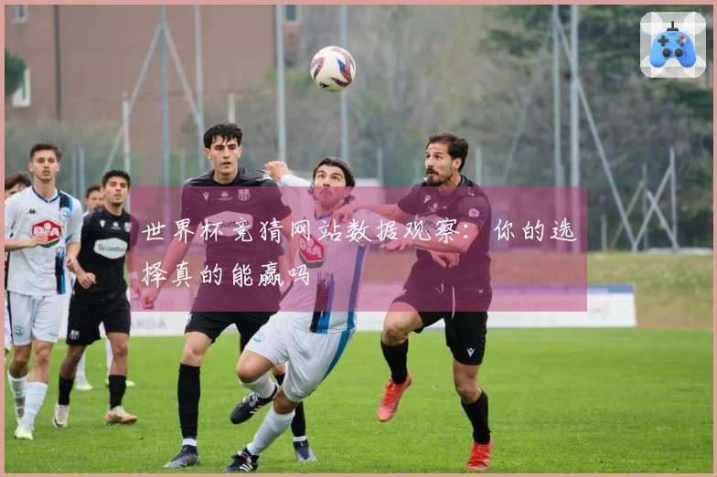 世界杯竞猜网站数据观察：你的选择真的能赢吗