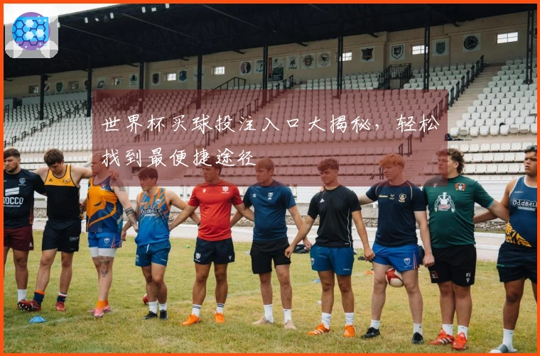 世界杯买球投注入口大揭秘，轻松找到最便捷途径