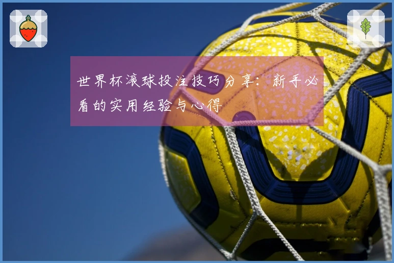 世界杯滚球投注技巧分享：新手必看的实用经验与心得