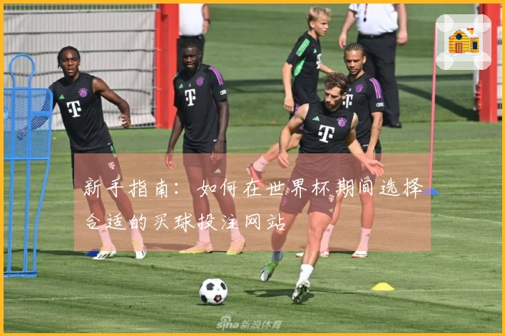 新手指南：如何在世界杯期间选择合适的买球投注网站
