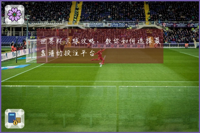 世界杯买球攻略，教你如何选择最靠谱的投注平台