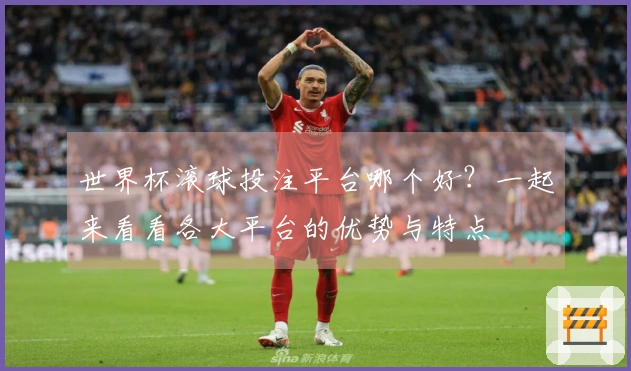 世界杯滚球投注平台哪个好？一起来看看各大平台的优势与特点