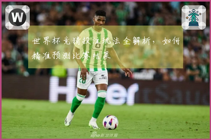 世界杯竞猜投注玩法全解析，如何精准预测比赛结果