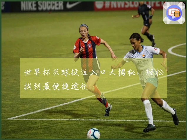 世界杯买球投注入口大揭秘，轻松找到最便捷途径