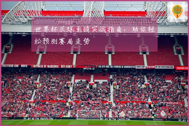 世界杯买球竞猜实战指南，助你轻松预测赛局走势